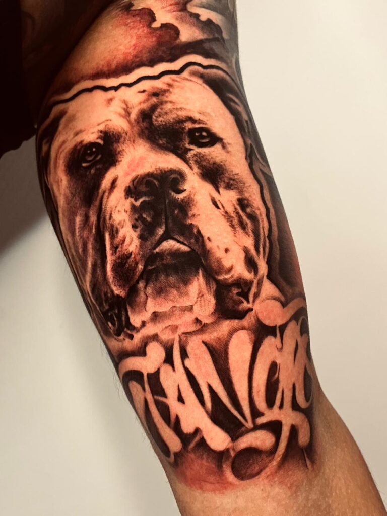 WhatsApp Image 2026-03-07 at 17.05.17 (1)